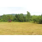 Bieszczady 2019 - Bieszczadzka Kolejka Leśna