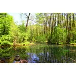 Majówka 2018 - Niebieskie źródła