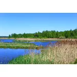 Majówka 2018 - Pilica