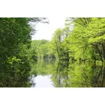 Majówka 2018 - Niebieskie źródła