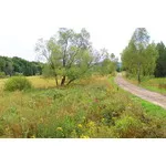 Bieszczady 2019 - Bieszczadzka Kolejka Leśna