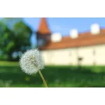 Majówka 2018 - Hotel Podklasztorze