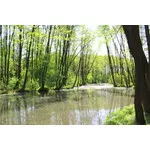 Majówka 2018 - Niebieskie źródła