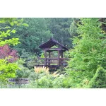 Szklarska Poręba 2018 - Ogród japoński Siruwia