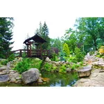 Szklarska Poręba 2018 - Ogród japoński Siruwia