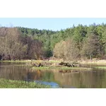 Załęczański Park Narodowy 2019