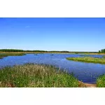 Majówka 2018 - Pilica