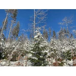 Ustroń 2020 - Górski Park Równica