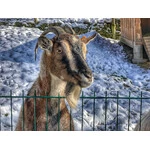 Ustroń 2020 - Leśny Park Niespodzianek