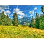 Dolina Chochołowska 2020