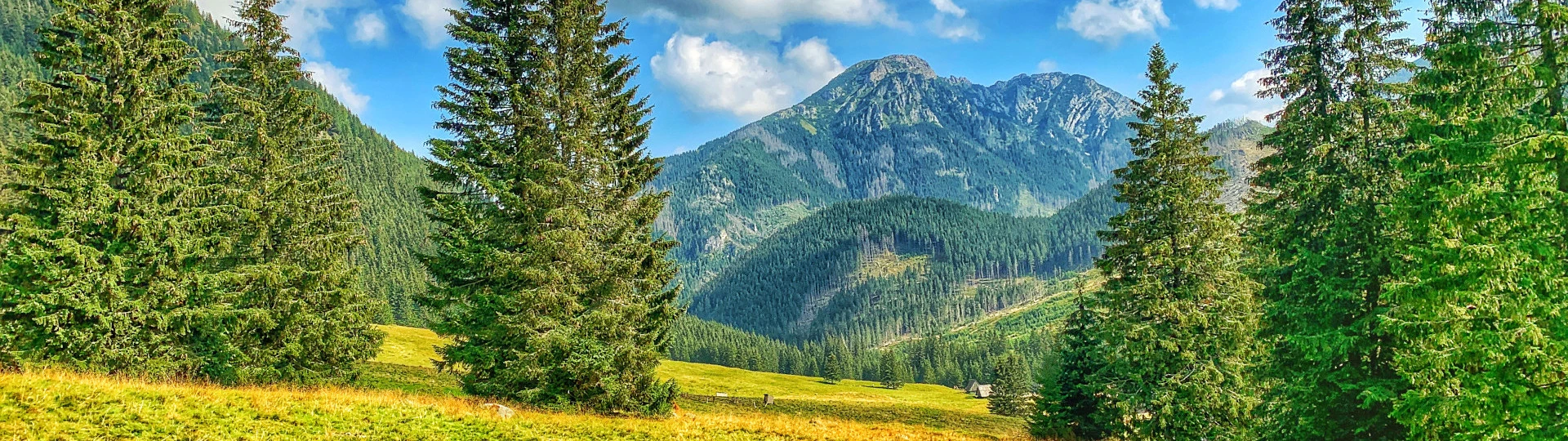 Dolina Chochołowska 2020