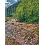 Dolina Chochołowska 2020