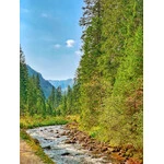 Dolina Chochołowska 2020