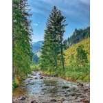 Dolina Chochołowska 2020