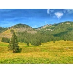 Dolina Chochołowska 2020