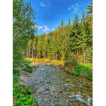 Dolina Chochołowska 2020