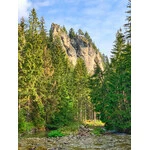 Dolina Chochołowska 2020