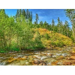 Dolina Chochołowska 2020