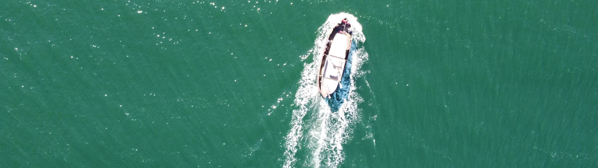 Podsumowanie roku 2021